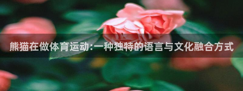 中欧体育李勇鸿：熊猫在做体育运动:一种独特的语言与文化融合方式