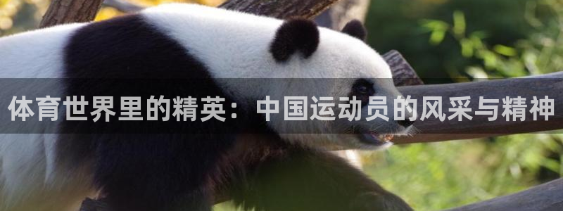 zoty中欧体育平台：体育世界里的精英：中国运动员的风采与精神