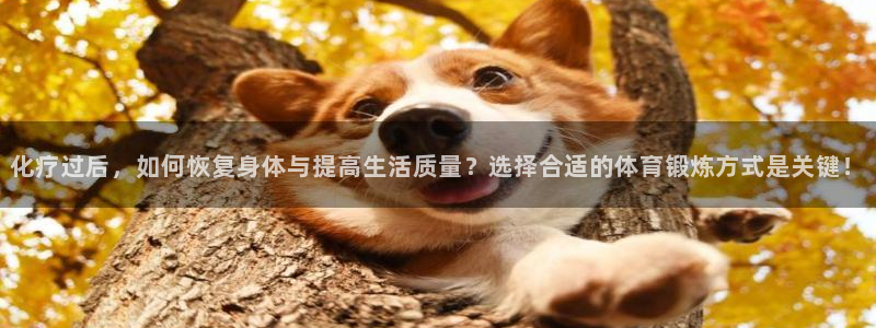 中欧体育：化疗过后，如何恢复身体与提高生活质量？选择合适的体育锻炼方式是关键！