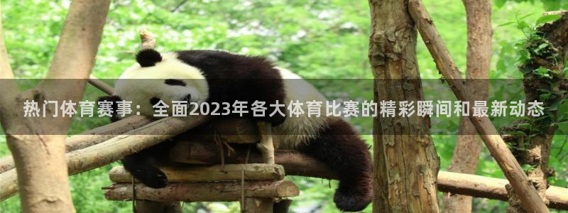 中欧体育(zoty)官网：热门体育赛事：全面2023年各大体育比赛的精彩瞬间和最新动态
