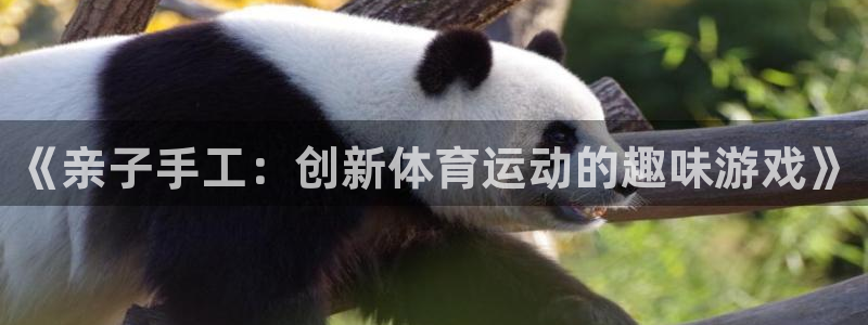 中欧体育ios：《亲子手工：创新体育运动的趣味游戏》